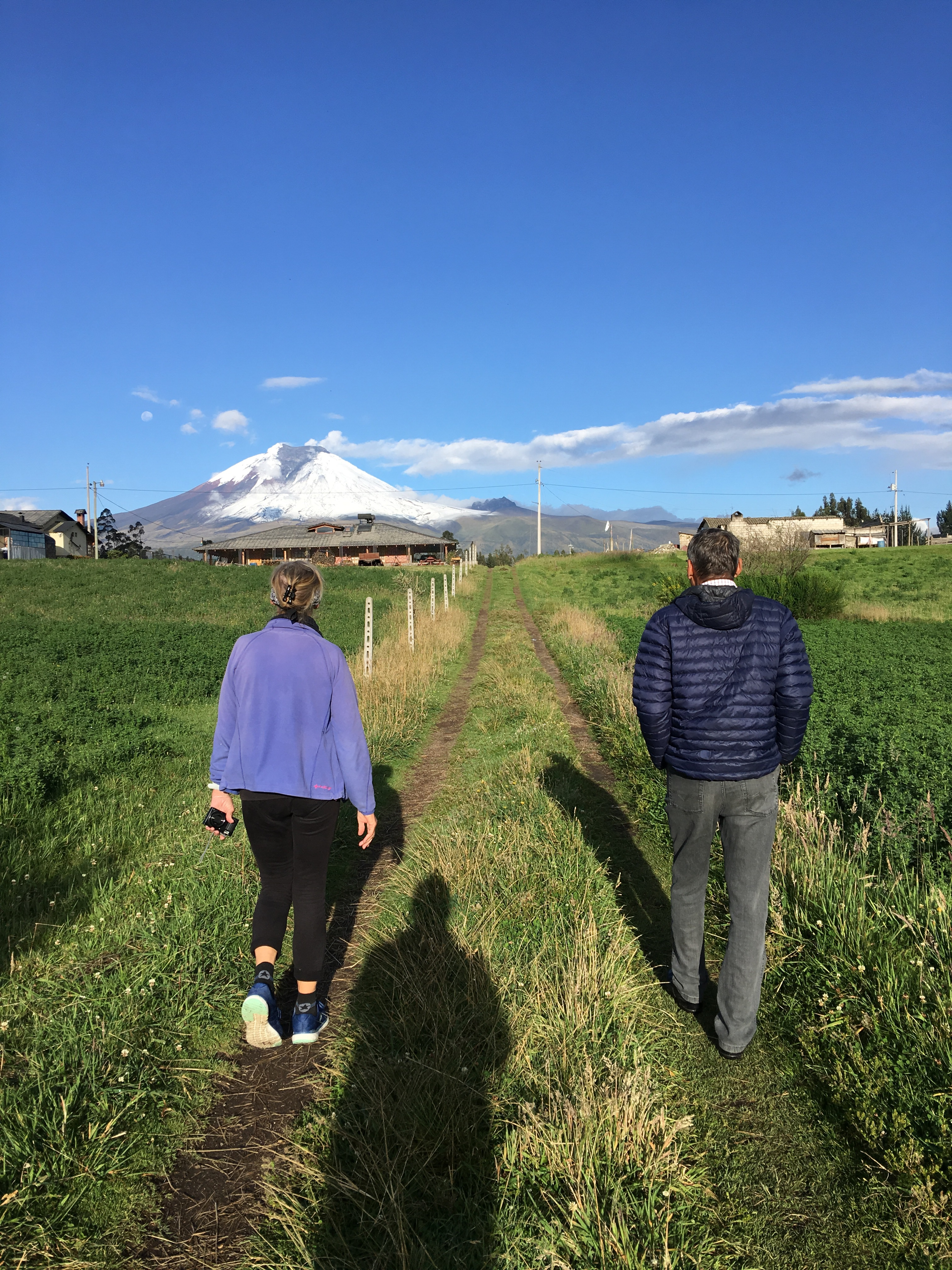 Walking toward Cuscungo with Cotopaxi in view