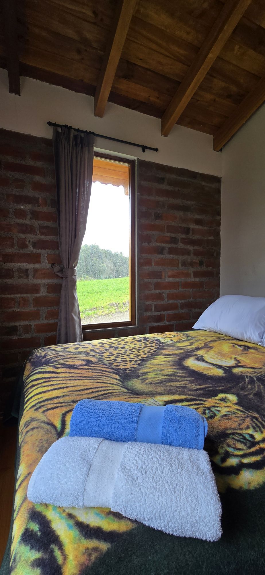 Single room with private bathroom